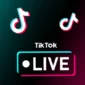 Live TikTok Jadi Salah Satu Penyebab Banyak Perceraian di Aceh