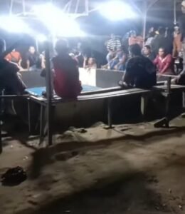 Aparat Bungkam, Judi Sabung Ayam Makin Bebas: Warga Desak Kapolrestabes Medan Bertindak Aparat Bungkam, Judi Sabung Ayam Makin Bebas: Warga Desak Kapolrestabes Medan Bertindak