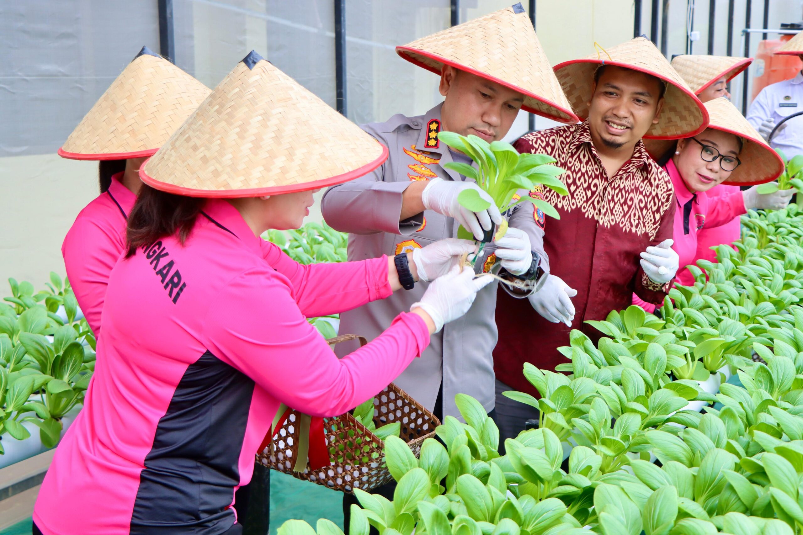 Dukung Program Pemerintah Ketahanan Pangan, Kapolrestabes Medan Panen Perdana Melom Hidroponik