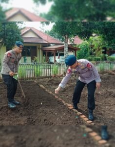 Dari Lahan Kosong Jadi Sumber Pangan, Brimob Sumut Kembangkan P2L di Batalyon C