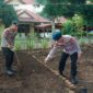 Dari Lahan Kosong Jadi Sumber Pangan, Brimob Sumut Kembangkan P2L di Batalyon C