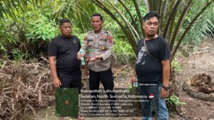 Respons Cepat Aduan Warga, Polsek Kampung Rakyat Grebek Sarang Narkoba di Perlabian Dalam