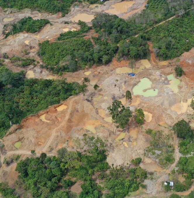 
					WALHI SUMUT Dukung Aparat Penegak Hukum Tindak Tegas Aktivitas Tambang Ilegal.