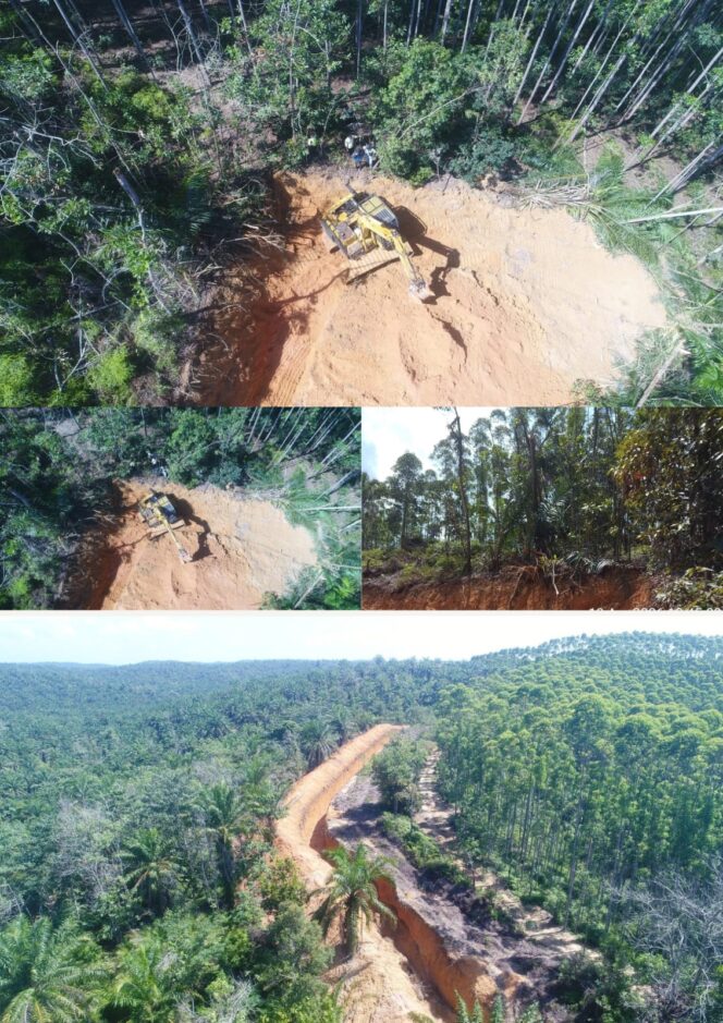 
					PT Barapala Acuhkan Negara, Panen Sawit Di Lahan Status Quo