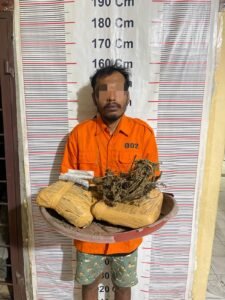 Polsek Bahorok Gagalkan Peredaran 2 Kilogram Ganja di Bukit Lawang, Seorang Pria Diamankan Polsek Bahorok Gagalkan Peredaran 2 Kilogram Ganja di Bukit Lawang, Seorang Pria Diamankan