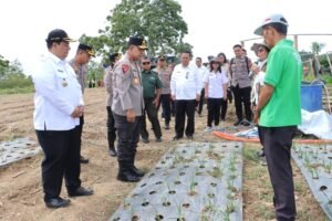 Kapolda Sumut Tinjau Sentra Bawang Putih di Samosir, Tegaskan Dukungan Polri untuk Ketahanan Pangan Nasional