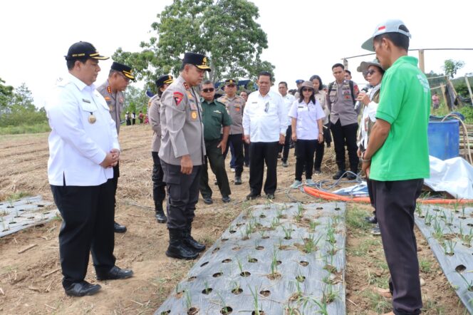 
					Kapolda Sumut Tinjau Sentra Bawang Putih di Samosir, Tegaskan Dukungan Polri untuk Ketahanan Pangan Nasional