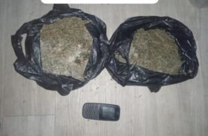 Sat Narkoba Polres Pelabuhan Belawan Tangkap Pengedar Ganja Asal Aceh, Sita 840 Gram Ganja Kering