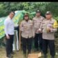 Polsek Binjai Kembali Grebek Sarang Narkoba Di Tandem Hilir