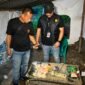 Dapat Perlawanan Warga, Satresnarkoba Polrestabes Medan Bumihanguskan Sarang Narkoba Klambir V