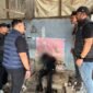 Dua Sarang Narkoba di Jalan Mangkubumi Medani Digerebek Polisi, 2 Pengedar dan 7 Pemakai Ditangkap
