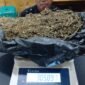 Seorang Oknum Satpam Ditangkap Polisi Edarkan Narkoba di Jalan Tanjung Sari Medan, Ganja 3 0ns Dista