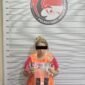 Memalukan ! Oknum Kepling Wanita di Jalan Katamso, Gang Pantai Burung Ditangkap Polisi Edarkan Vape Narkoba Jenis Pod Getar dan Inex