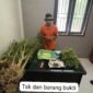 Terlibat Laka Lantas, Pria 69 Tahun Kedapatan Bawa Ganja, Polres Karo Kembangkan ke Ladangnya