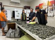 Polisi Gerebek Gudang Pengolahan Pinang Disulap Jadi Gudang Narkoba di Sei Mencirim, 3 Kg Sabu, 10.000 ekstasi, dan 1.778 Pod Getar Disita