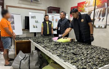 Polisi Gerebek Gudang Pengolahan Pinang Disulap Jadi Gudang Narkoba di Sei Mencirim, 3 Kg Sabu, 10.000 ekstasi, dan 1.778 Pod Getar Disita