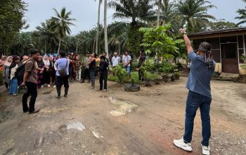 Konflik Agraria di Padang Lawas Utara: Warga Tiga Desa Desak Penghentian Operasional PT Tindoan Bujing